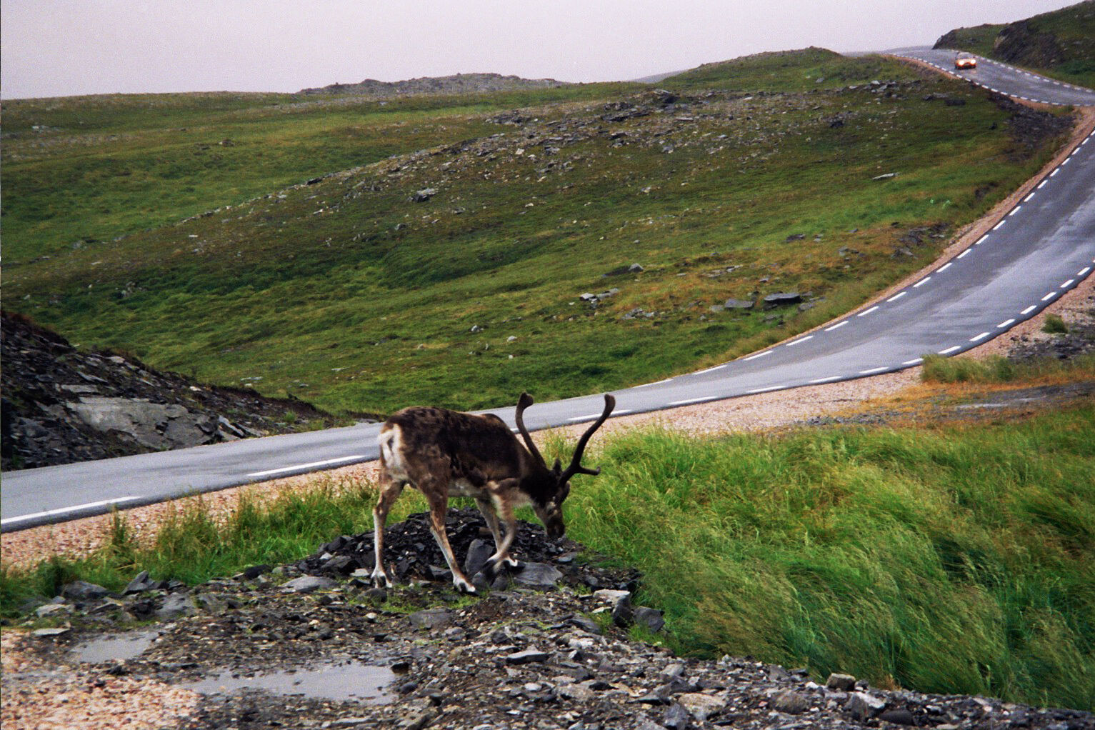 are Baltikum Reisen, Christine Salten, Andres Vainumäe, Individualreisen, Gruppenreisen, PKW-Rundreisen, Fahrradtouren, Naturbeobachtung, Vogelbeobachtung, Wanderreisen, Baltikum, Estland, Lettland, Litauen, Polen, Skandinavien, Schweden, Stockholm, Russland, St. Petersburg, Tallinn, Winterreisen, Finnland, Riga, Helsinki, Vilnius, Stockholm, Städtereise, Ostseekurzreisen, Norwegen, Hurtigruten, Oslo, Bergen, Ostseeurlaub, Kurische Nehrung, Memel, Klaipeda, Aktivreisen, Spezialveranstalter, Baltikum, Kaliningrader Gebiet, Königsberg, Strandurlaub, Ostseefähren, Kreuzfahrten Ostsee, Mare Baltikum, Tagesausflüge, Moorwanderung, Lappland, Skigebiet Ylläs, Flughafen Kittilä