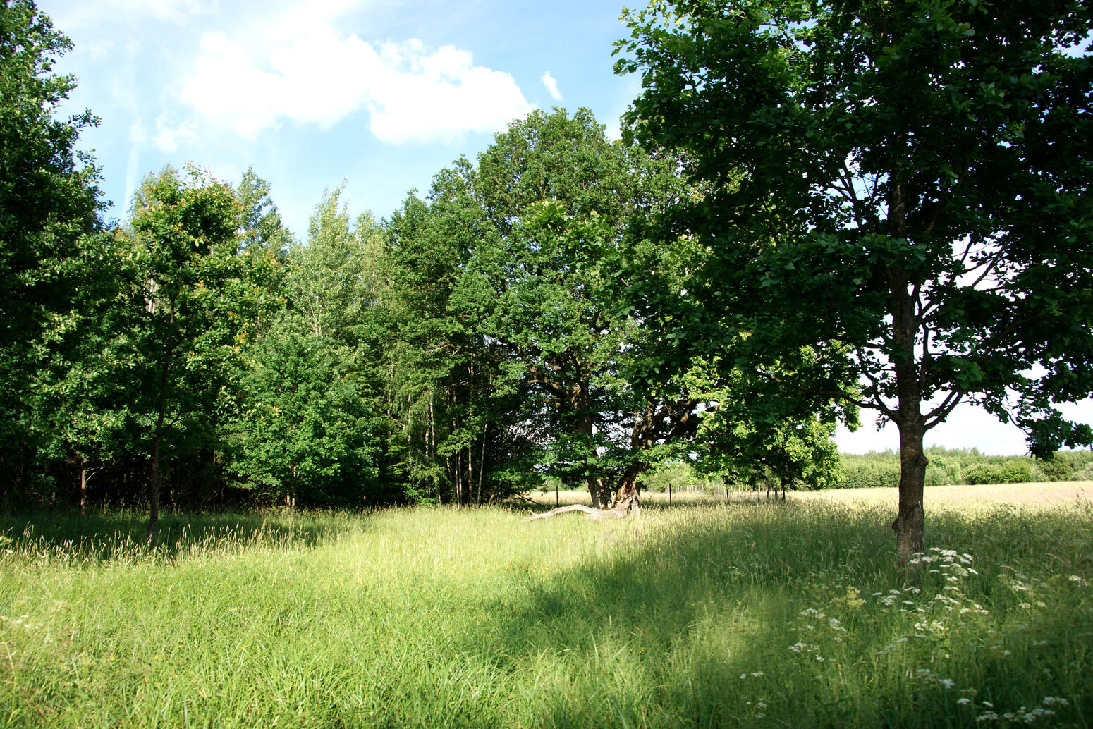 Mare Baltikum Reisen, Christine Salten, Andres Vainumäe, Individualreisen, Gruppenreisen, PKW-Rundreisen, Fahrradtouren, Naturbeobachtung, Vogelbeobachtung, Wanderreisen, Baltikum, Estland, Lettland, Litauen, Polen, Skandinavien, Schweden, Stockholm, Russland, St. Petersburg, Tallinn, Winterreisen, Finnland, Riga, Helsinki, Vilnius, Stockholm, Städtereise, Ostseekurzreisen, Norwegen, Hurtigruten, Oslo, Bergen, Ostseeurlaub, Kurische Nehrung, Memel, Klaipeda, Aktivreisen, Spezialveranstalter, Baltikum, Kaliningrader Gebiet, Königsberg, Strandurlaub, Ostseefähren, Kreuzfahrten Ostsee, Mare Baltikum, Tagesausflüge, Moorwanderung, Lappland, Skigebiet Ylläs, Flughafen Kittilä